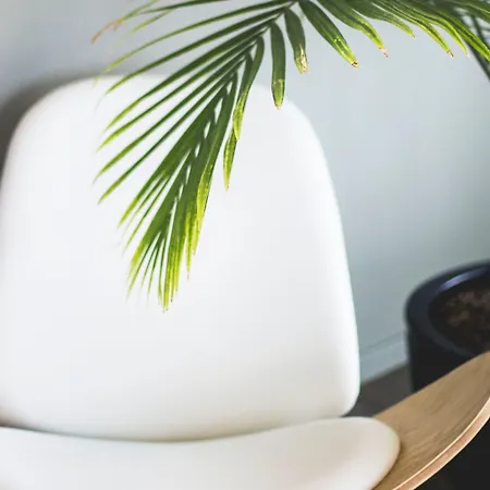 Maison Schiller By Designcity Otel 4*